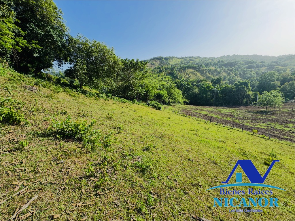 Finca de 278 tareas en venta Foto 7318926-11.jpg