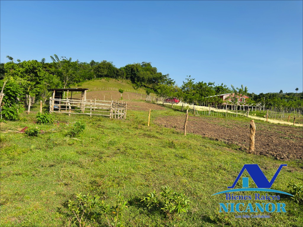 Finca de 278 tareas en venta Foto 7318926-12.jpg