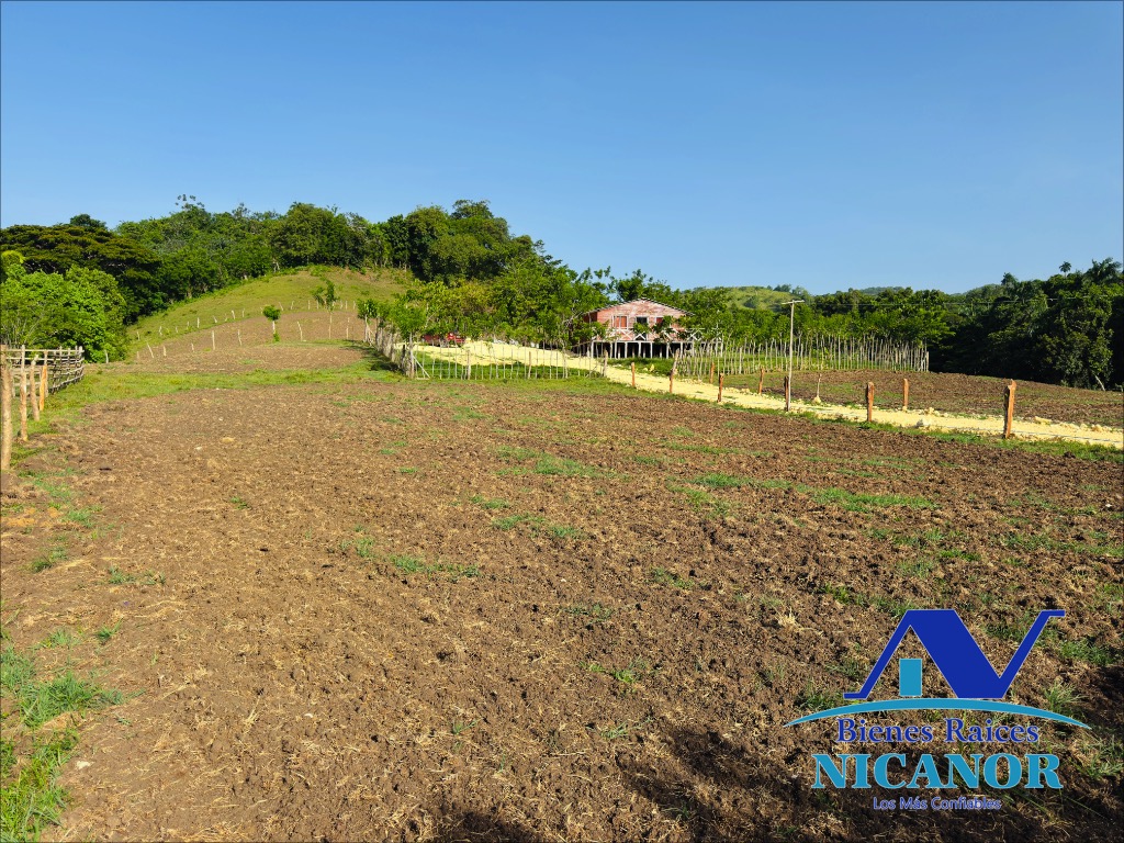 Finca de 278 tareas en venta Foto 7318926-15.jpg