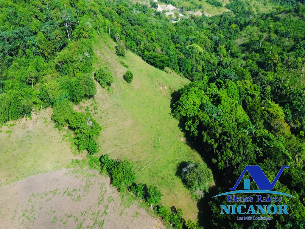 Finca de 278 tareas en venta Foto 7318926-4.jpg