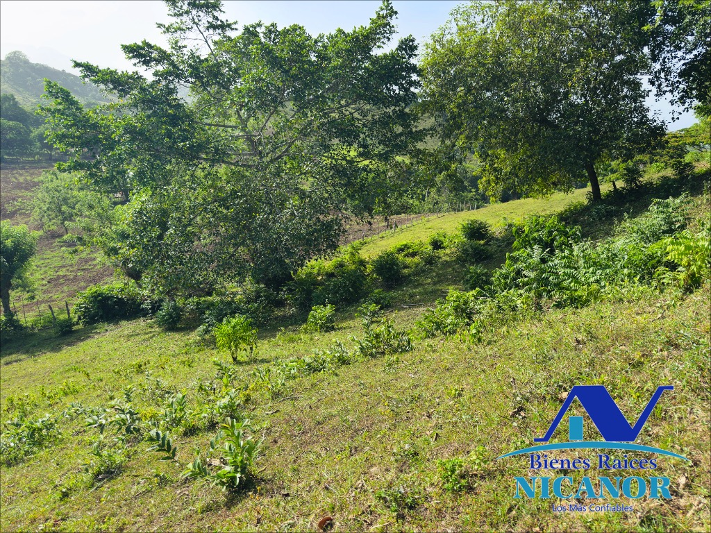 Finca de 278 tareas en venta Foto 7318926-7.jpg