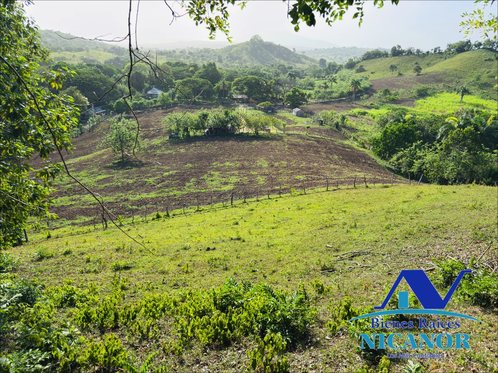 Finca de 278 tareas en venta Foto 7318926-9.jpg