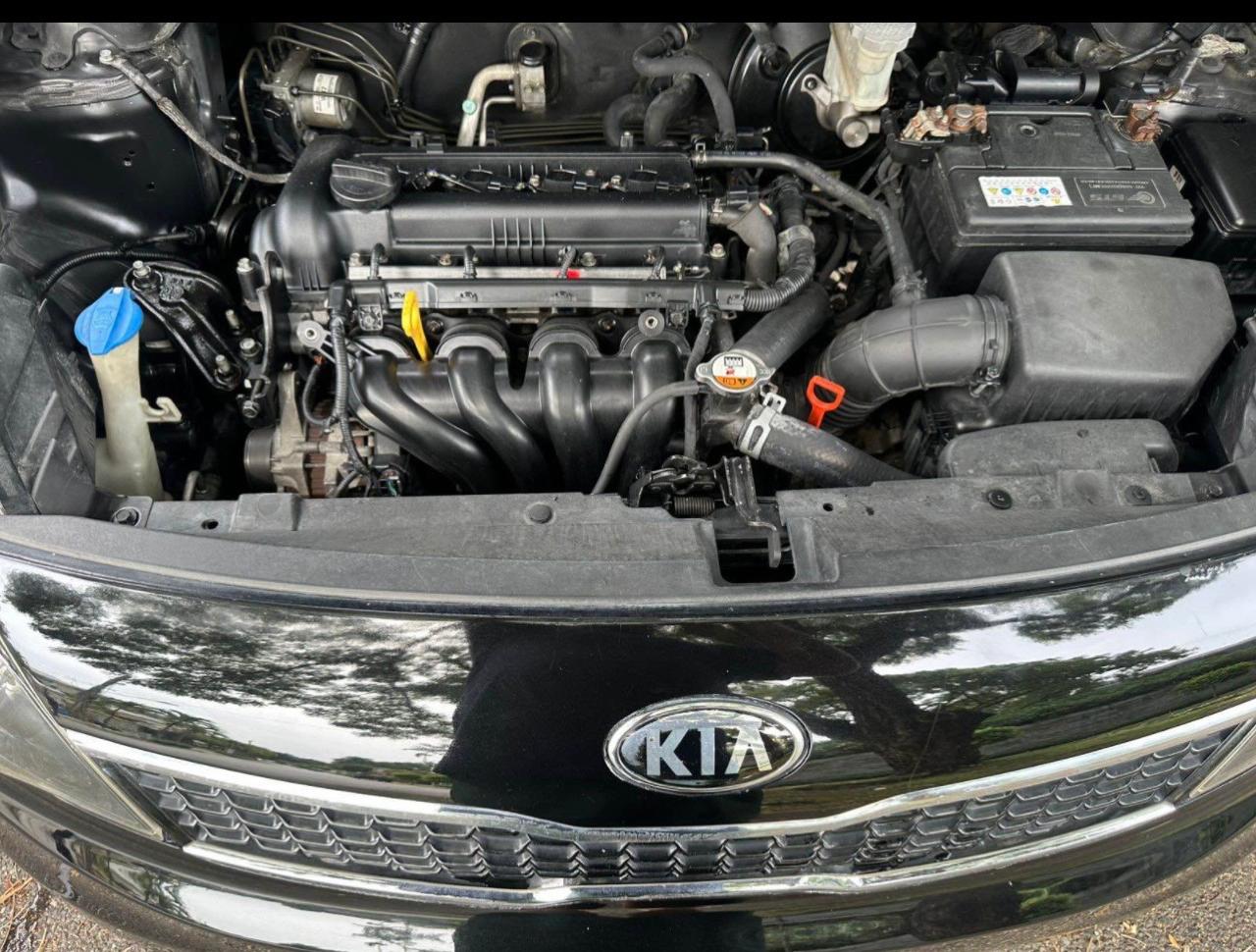 kia Rio 2016    Foto 7319446-7.jpg