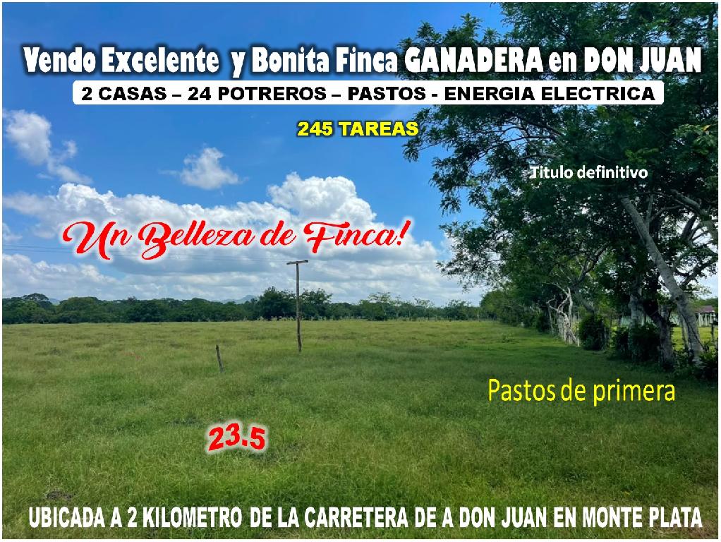 Vendo BELLA  Finca GANADERA CON SUS PASTOS 245 tareas en DON JUAN MONT Foto 7319615-1.jpg