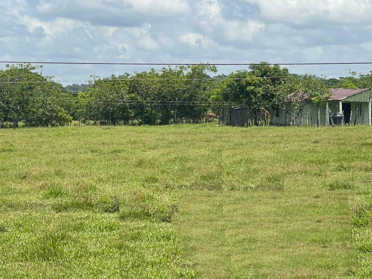 Vendo BELLA  Finca GANADERA CON SUS PASTOS 245 tareas en DON JUAN MONT Foto 7319615-13.jpg