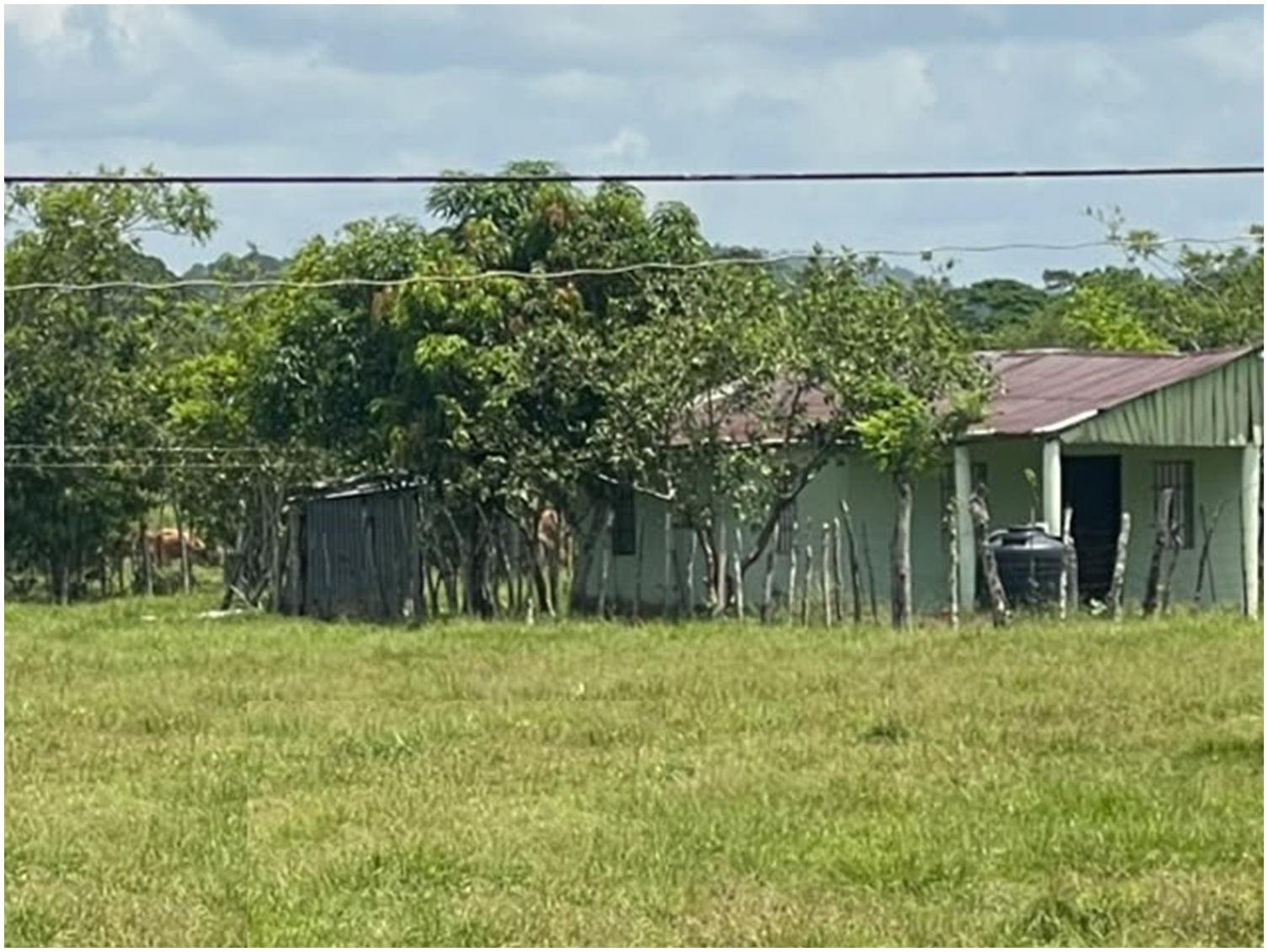 Vendo BELLA  Finca GANADERA CON SUS PASTOS 245 tareas en DON JUAN MONT Foto 7319615-3.jpg