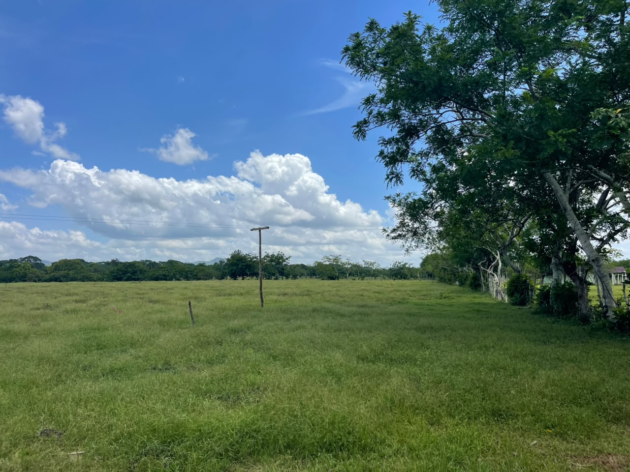 Vendo BELLA  Finca GANADERA CON SUS PASTOS 245 tareas en DON JUAN MONT Foto 7319615-9.jpg