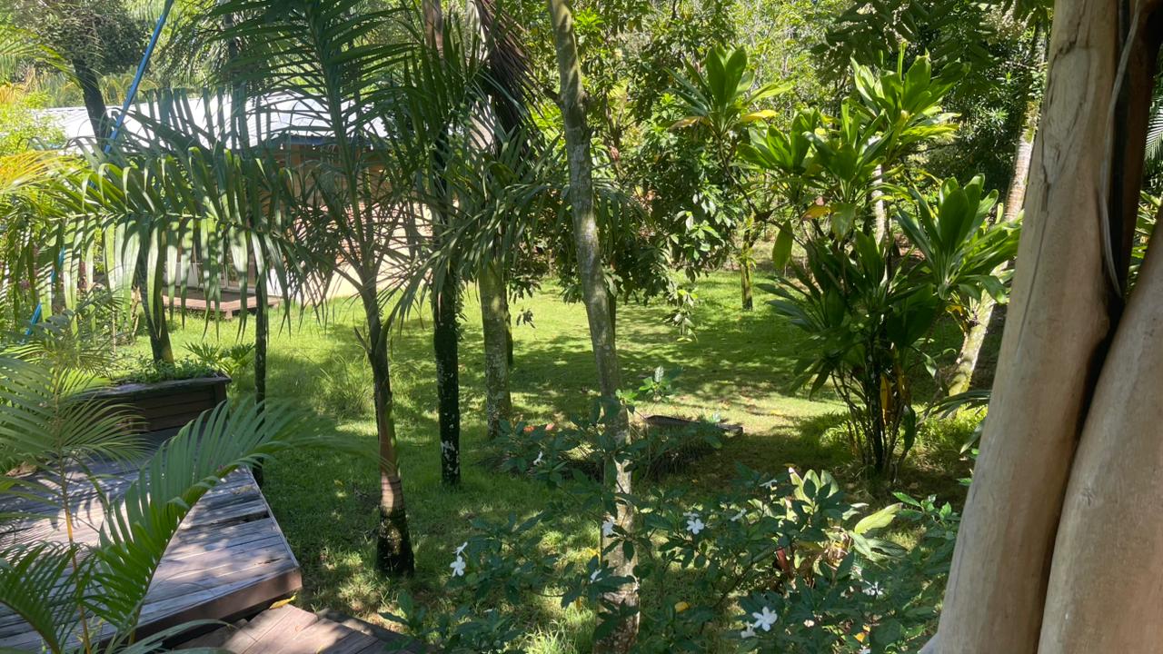 Vendo VILLA CON SU PISCINA  SIEMBRAS EN MONTE PLATA CON 74 TAREAS Foto 7319616-3.jpg