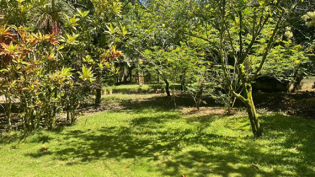 Vendo VILLA CON SU PISCINA  SIEMBRAS EN MONTE PLATA CON 74 TAREAS Foto 7319616-4.jpg