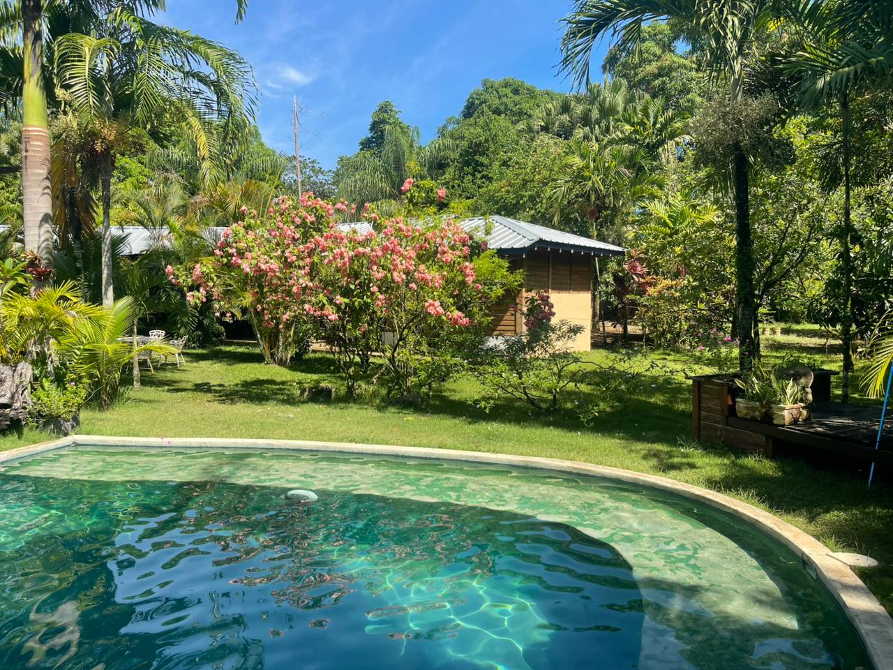 Vendo VILLA CON SU PISCINA  SIEMBRAS EN MONTE PLATA CON 74 TAREAS Foto 7319616-9.jpg