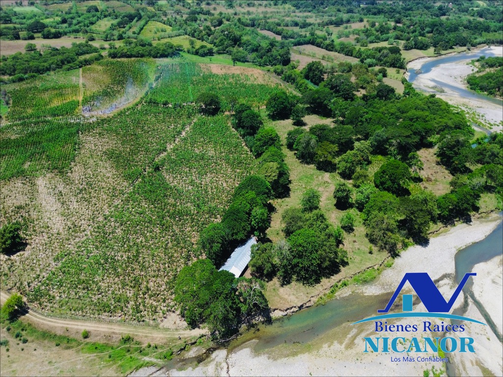 Finca Sembrada de platano en venta Foto 7319618-10.jpg