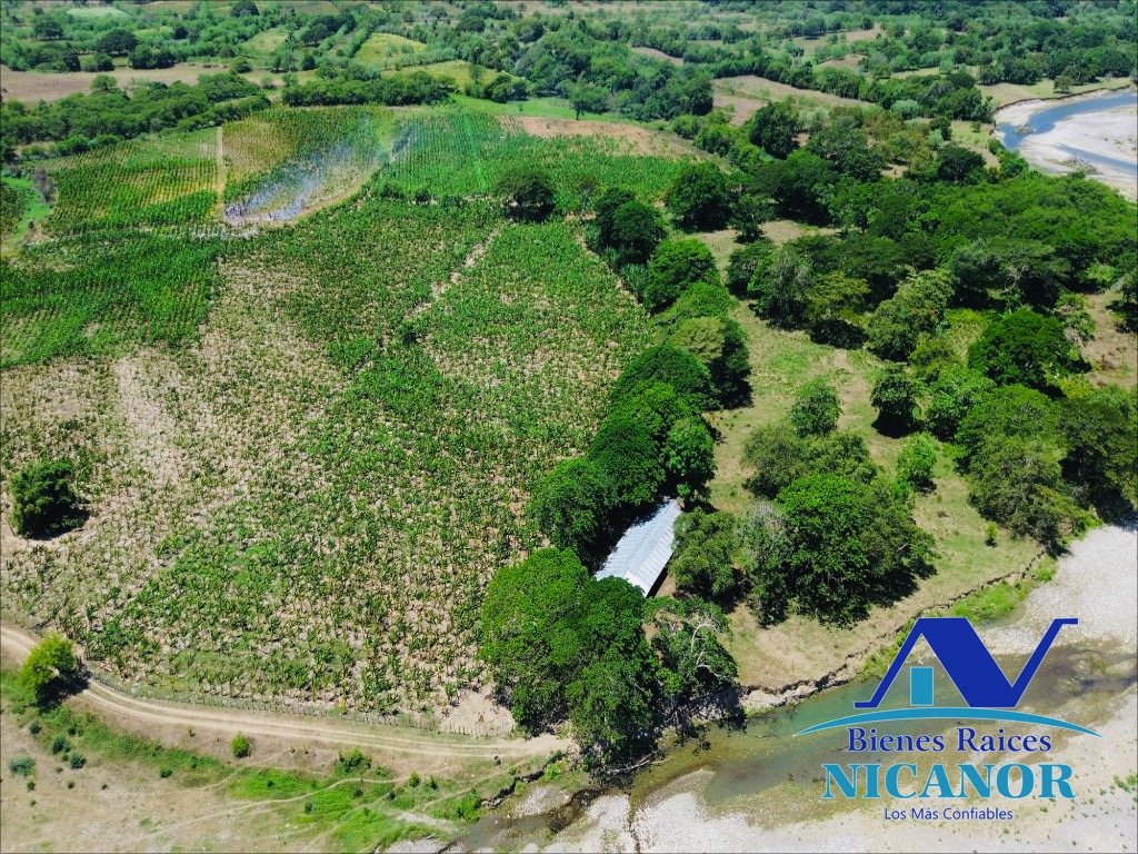 Finca Sembrada de platano en venta Foto 7319618-11.jpg