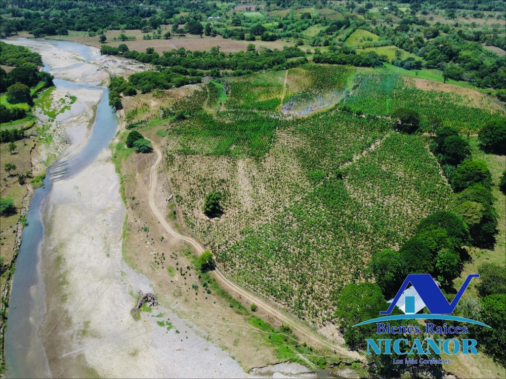 Finca Sembrada de platano en venta Foto 7319618-14.jpg