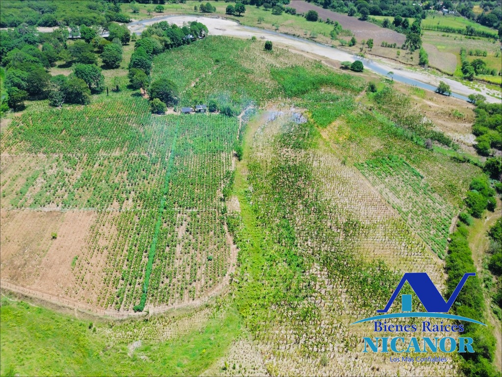 Finca Sembrada de platano en venta Foto 7319618-8.jpg