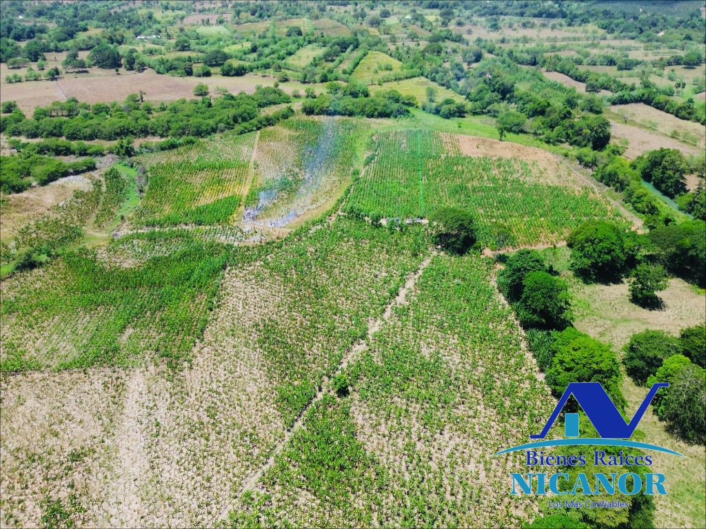 Finca Sembrada de platano en venta Foto 7319618-9.jpg