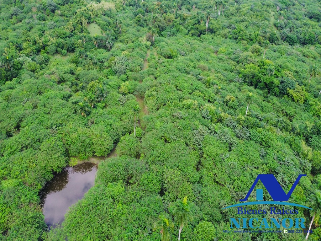Finca de 2300 tareas en venta en imbert puerto plata  Foto 7319619-12.jpg