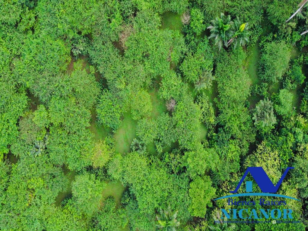 Finca de 2300 tareas en venta en imbert puerto plata  Foto 7319619-13.jpg