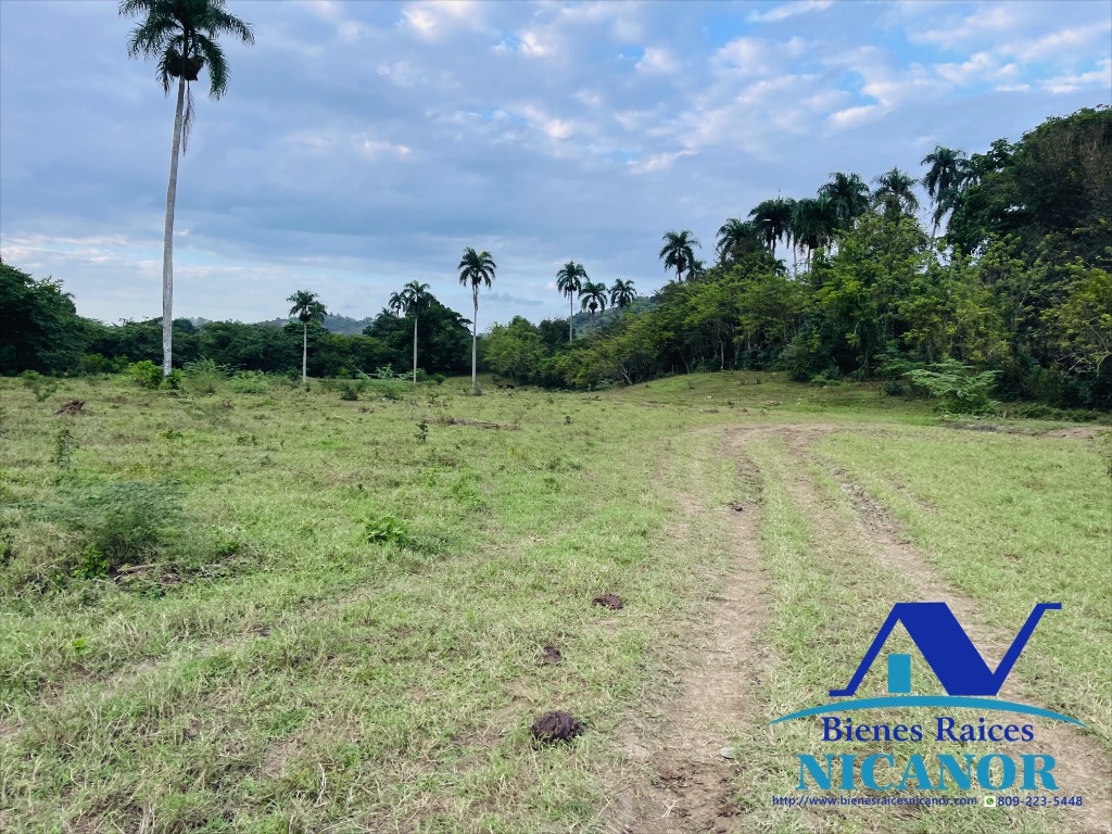 Finca de 2300 tareas en venta en imbert puerto plata  Foto 7319619-8.jpg