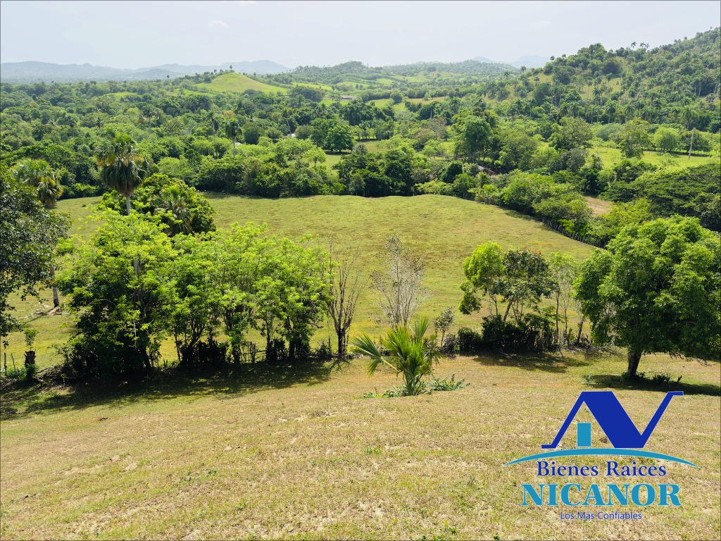 Finca de 825 taraes en venta  Foto 7319620-5.jpg
