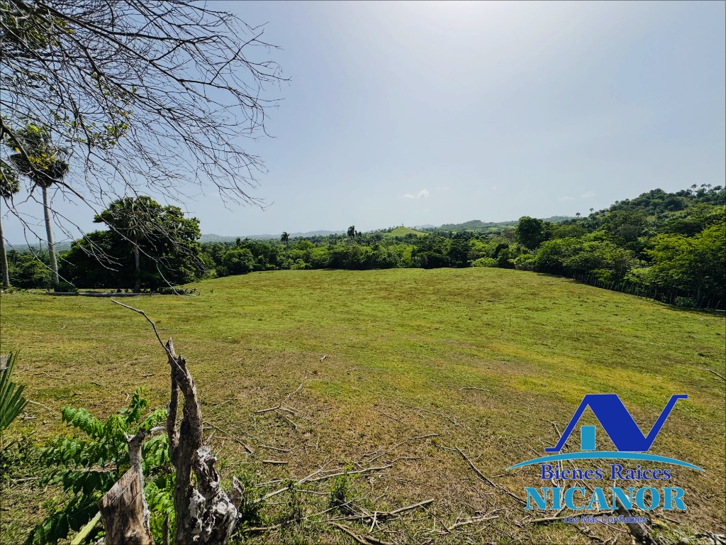 Finca de 825 taraes en venta  Foto 7319620-6.jpg
