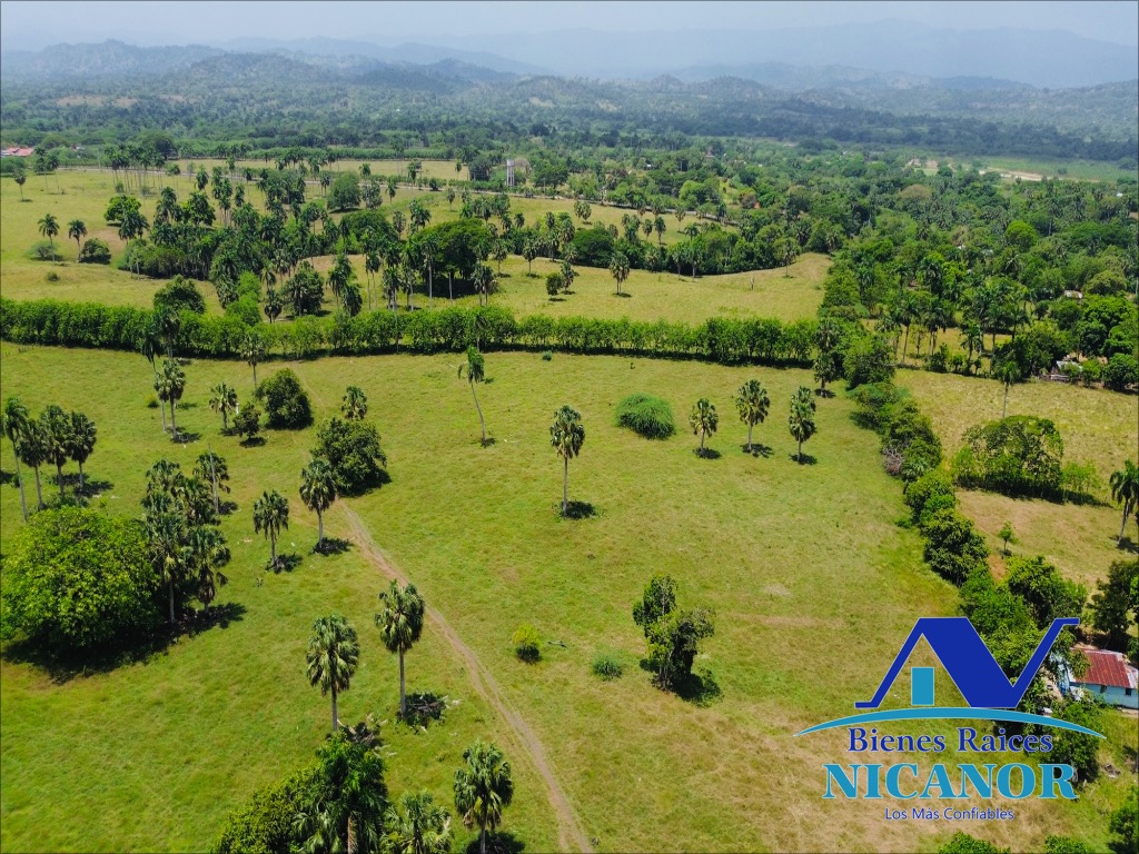 Finca de 1010 tareas en venta  Foto 7319626-6.jpg