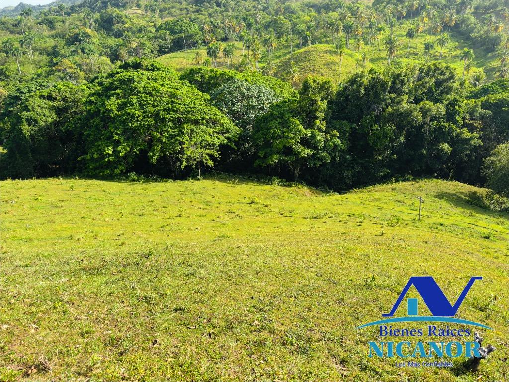 Finca de 278 tareas en venta en puerto plata Foto 7319628-1.jpg