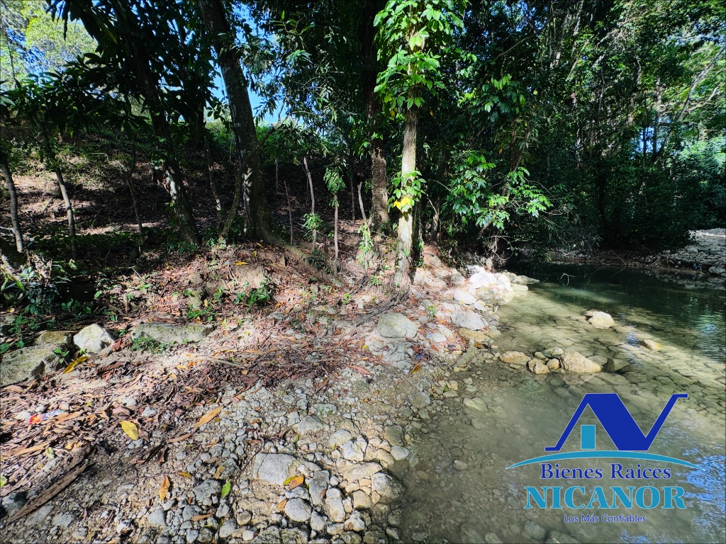 Finca de 278 tareas en venta en puerto plata Foto 7319628-11.jpg