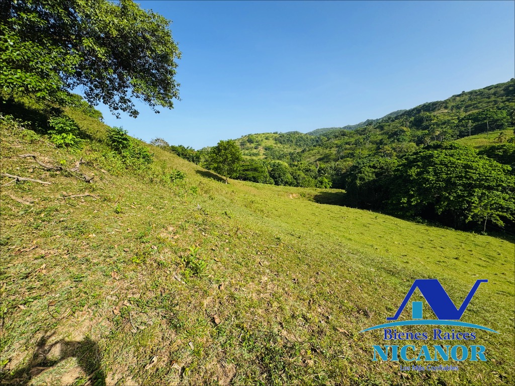 Finca de 278 tareas en venta en puerto plata Foto 7319628-6.jpg