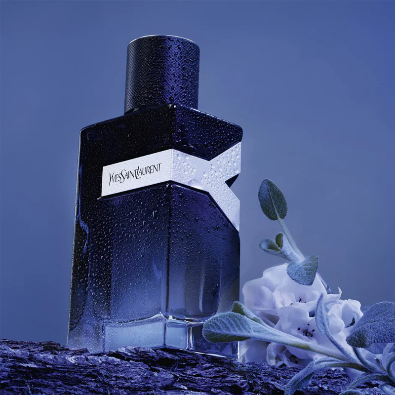 Yves Saint Laurent Y EDP Intense en Santo Domingo Este Foto 7320047-1.jpg