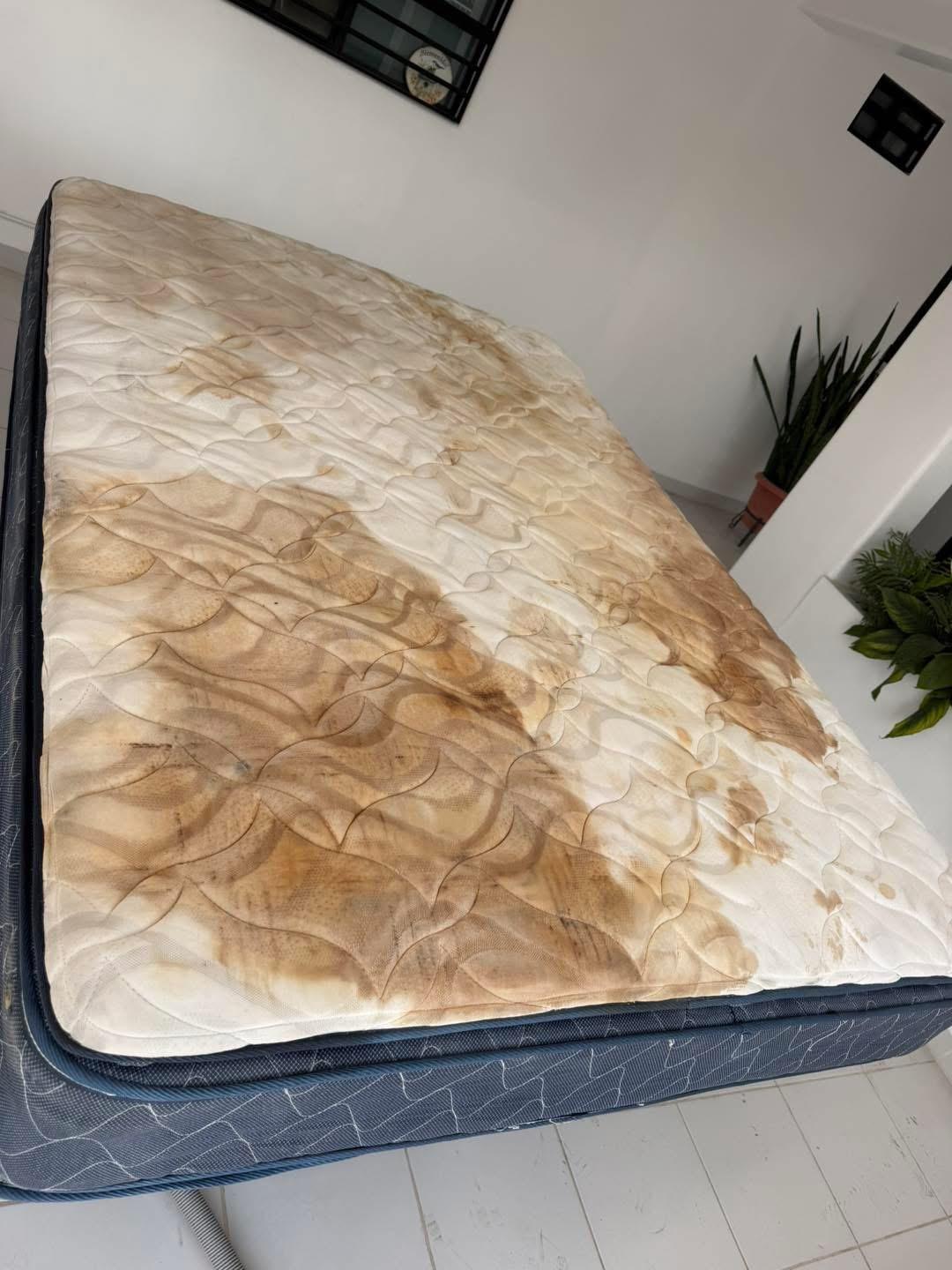 Limpieza de colchones  Foto 7320089-1.jpg