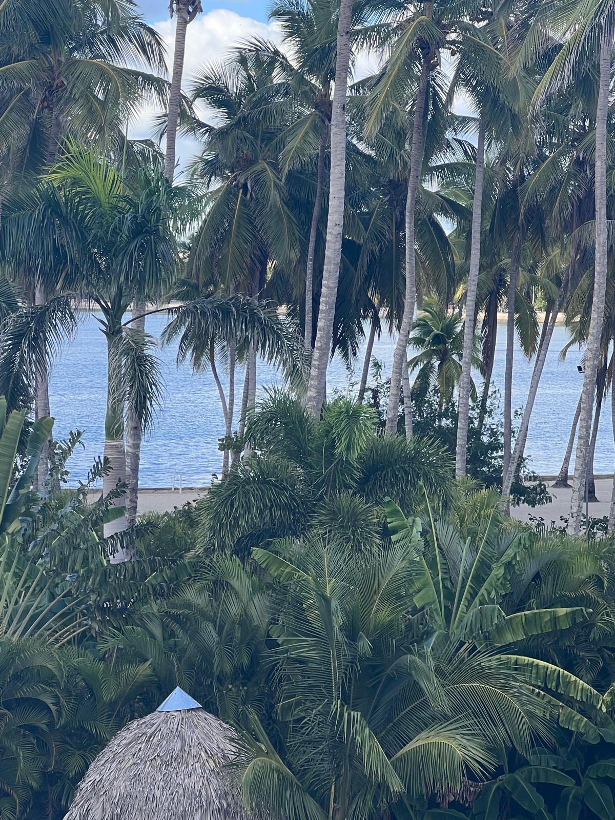 Vendo villa en playa nueva romana Foto 7321436-11.jpg