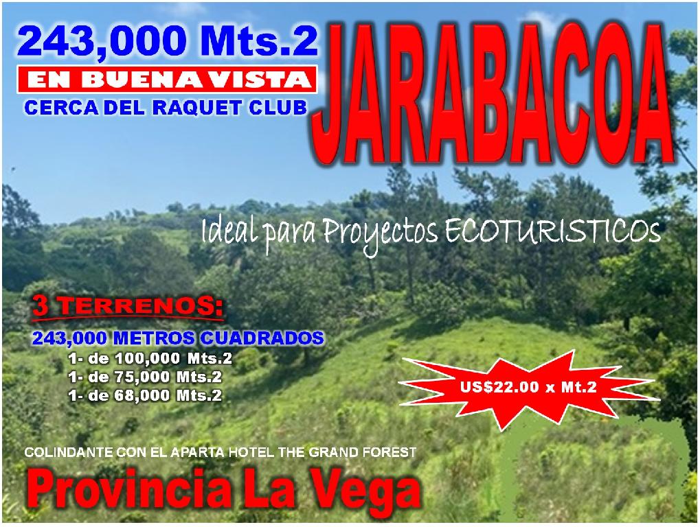 Vendo 243000 Mts.2 en 3 Terrenos BUENA VISTA JARABACOA Cerca del RAQUE Foto 7321850-1.jpg