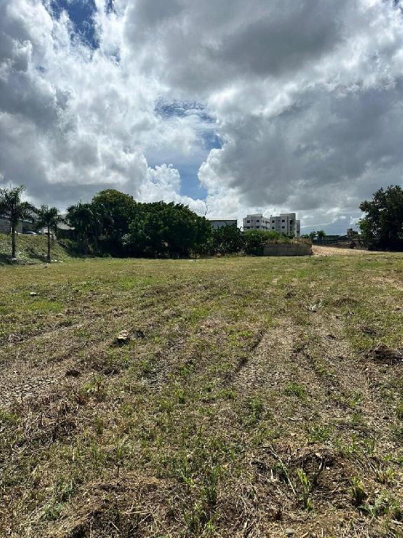 Solar Comercial en Venta – 25076 m  Próximo a Ciudad Juan Bosch Av. Ec Foto 7323201-1.jpg
