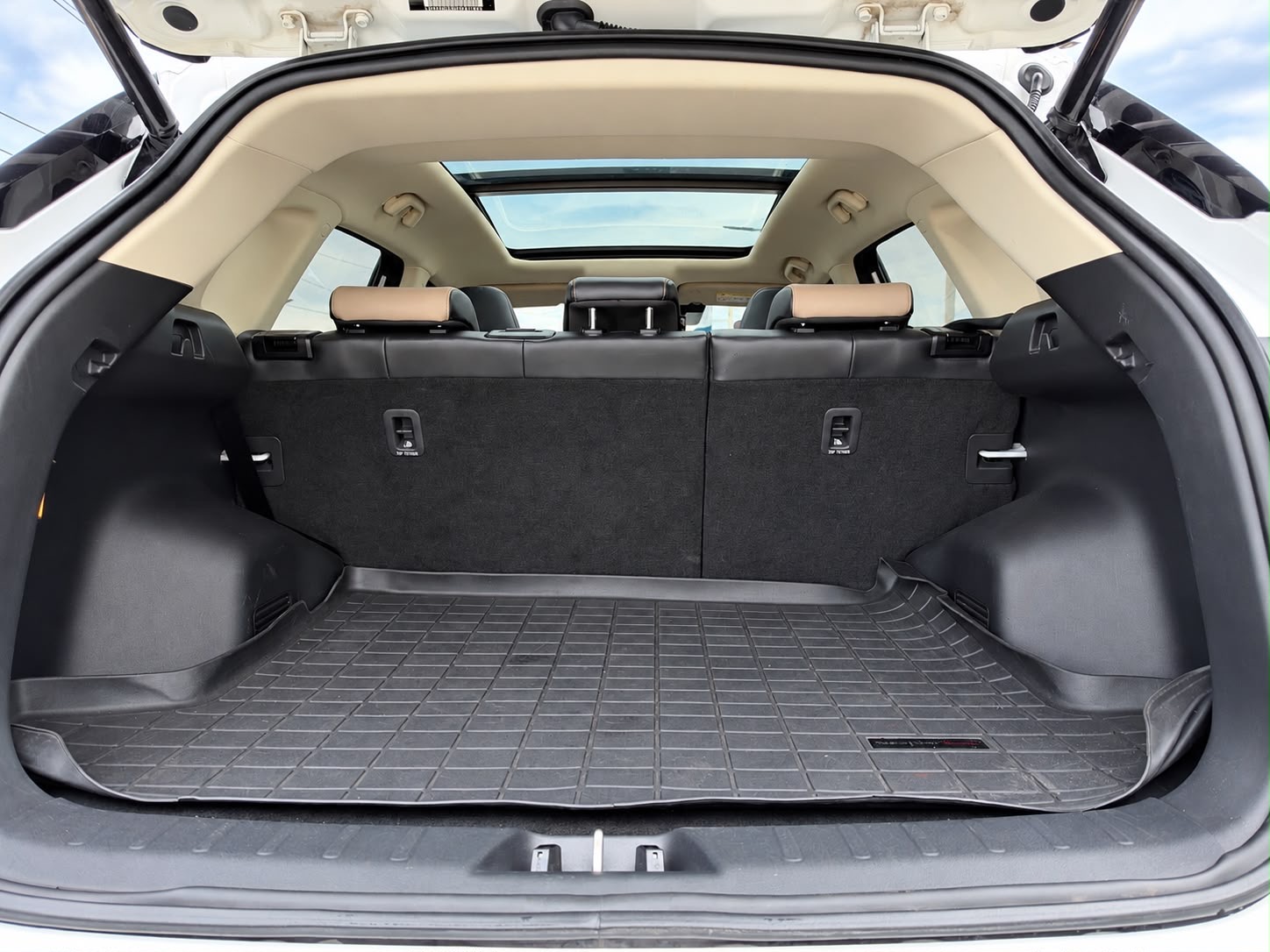 Changan CS55 Plus 2023  Foto 7323302-9.jpg