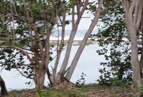 VENDO ESTE HERMOSO SOLAR DE PLAYA EN HAINA NIGUA Foto 7324329-4.jpg