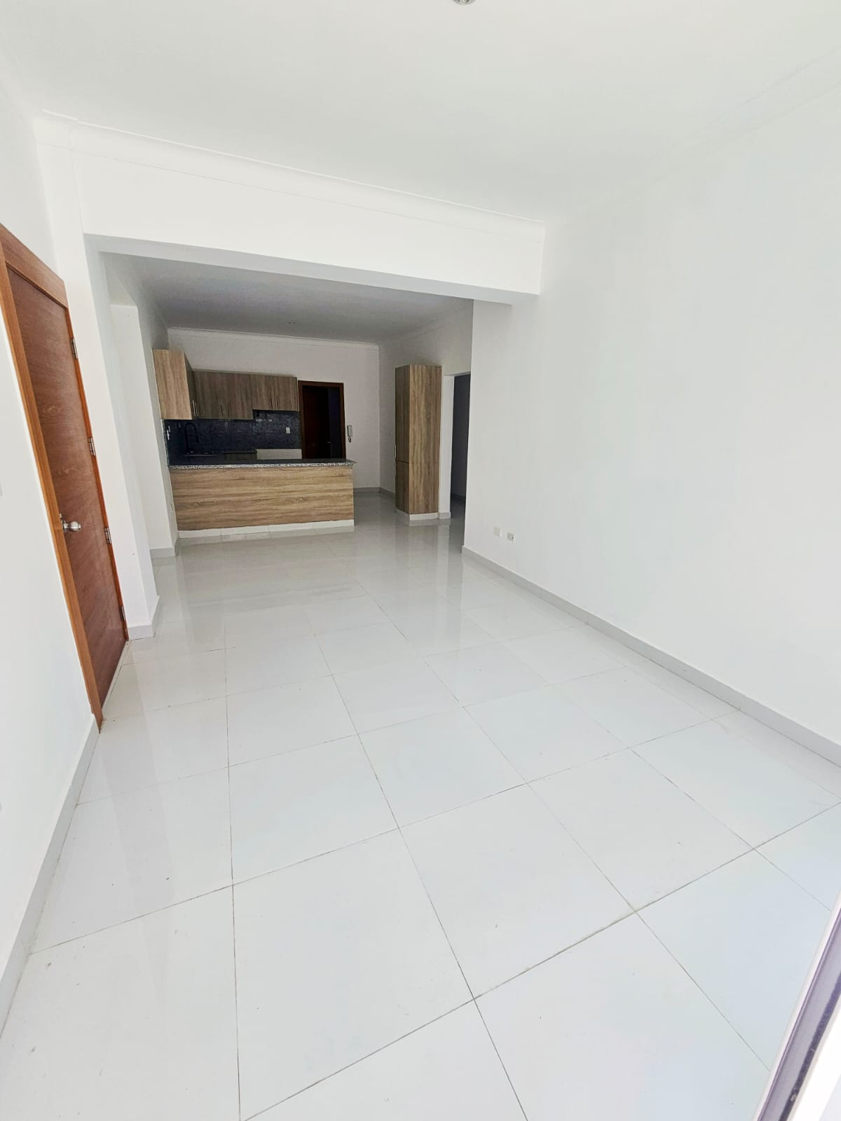 Apartamento Nuevo con terraza en Don Honorio RD11250000  - 2do piso co Foto 7324470-2.jpg