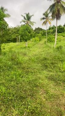 TERRENO EN VENTA  CARRETERA SAMANÁ–LAS GALERAS Foto 7324485-1.jpg