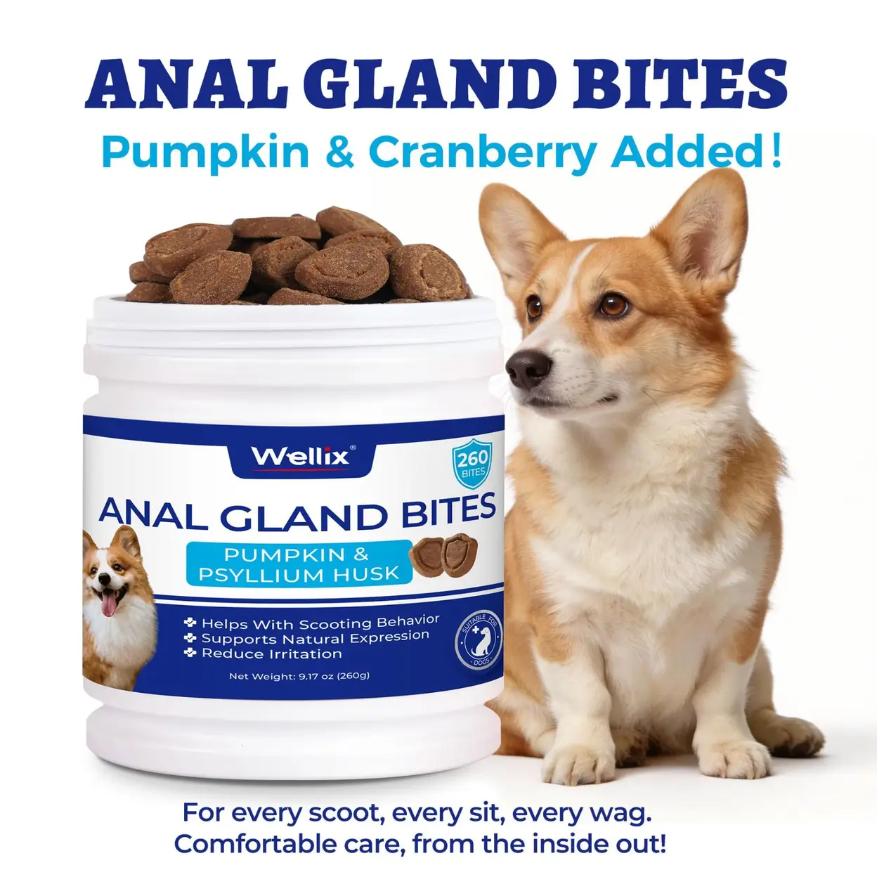 Suplemento masticable Wellix para la salud digestiva de tu perro Foto 7324713-3.jpg
